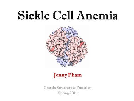 Sickle Cell Anemia Jenny Pham Protein Structure & Function Spring 2015.