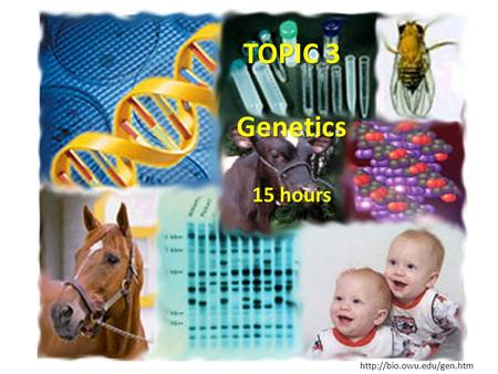 TOPIC 3 Genetics 15 hours