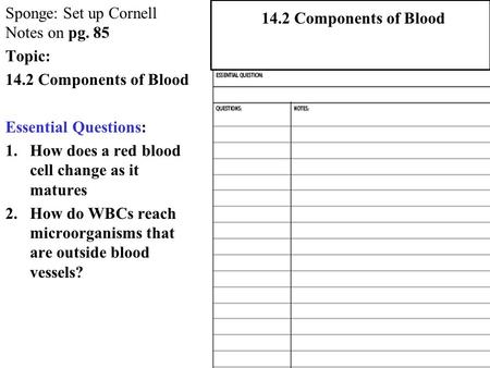 Sponge: Set up Cornell Notes on pg. 85 Topic: 14.2 Components of Blood