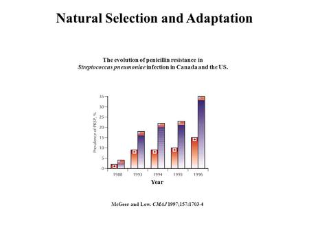 Natural Selection and Adaptation McGeer and Low. CMAJ 1997;157:1703-4 The evolution of penicillin resistance in Streptococcus pneumoniae infection in Canada.