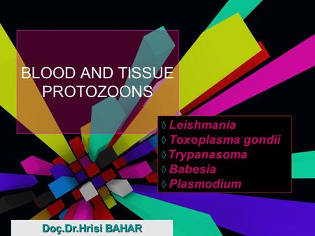 BLOOD AND TISSUE PROTOZOONS