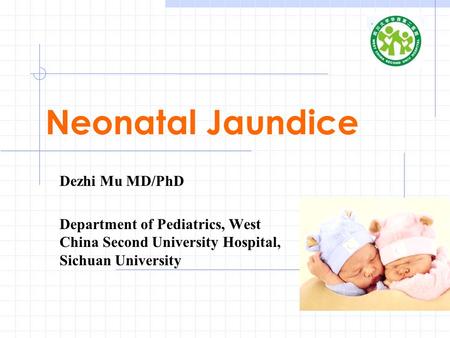 Neonatal Jaundice Dezhi Mu MD/PhD