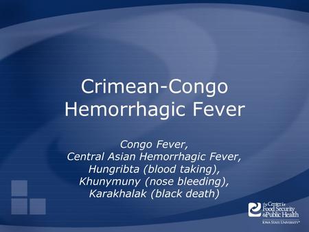 Crimean-Congo Hemorrhagic Fever