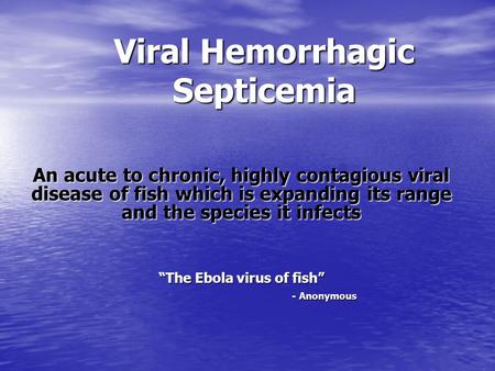 Viral Hemorrhagic Septicemia An acute to chronic, highly contagious viral disease of fish which is expanding its range and the species it infects “The.