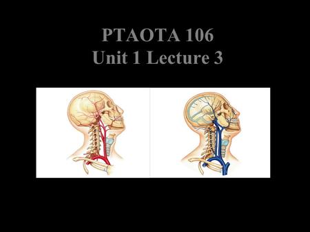 PTAOTA 106 Unit 1 Lecture 3.