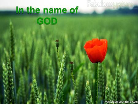 In the name of GOD.