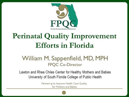 Perinatal Quality Improvement Efforts in Florida