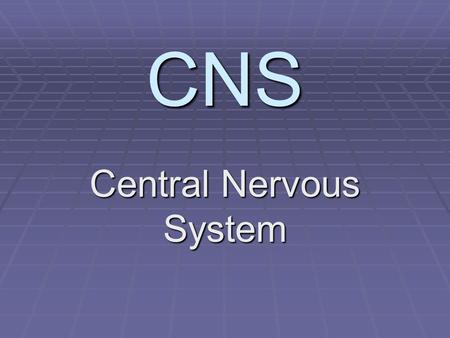 CNS Central Nervous System. CNS  Brain and Spinal Cord.