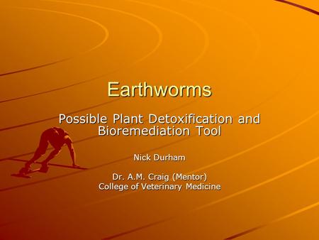 Earthworms Possible Plant Detoxification and Bioremediation Tool Nick Durham Dr. A.M. Craig (Mentor) College of Veterinary Medicine.