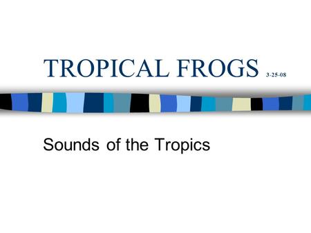 TROPICAL FROGS 3-25-08 Sounds of the Tropics. SIZE: THE RANGE IS HUGE Bufo metamorph. Bufo marinus from Surinam.