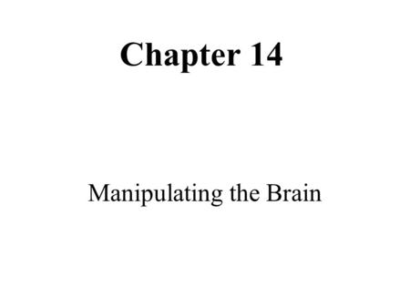 Chapter 14 Manipulating the Brain. Electrical Activity in the Brain.