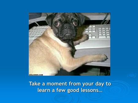 Take a moment from your day to learn a few good lessons…