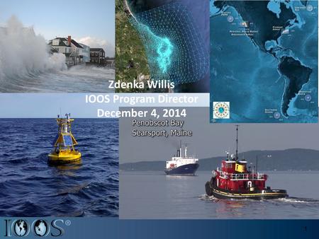 1 Zdenka Willis IOOS Program Director December 4, 2014.