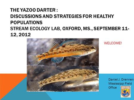 THE YAZOO DARTER : DISCUSSIONS AND STRATEGIES FOR HEALTHY POPULATIONS STREAM ECOLOGY LAB, OXFORD, MS., SEPTEMBER 11- 12, 2012 Daniel J. Drennen Mississippi.