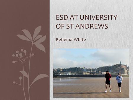 Rehema White ESD AT UNIVERSITY OF ST ANDREWS. contents ‘academic excellence’ SD Programme Other aspects of SD at the University Future plans.