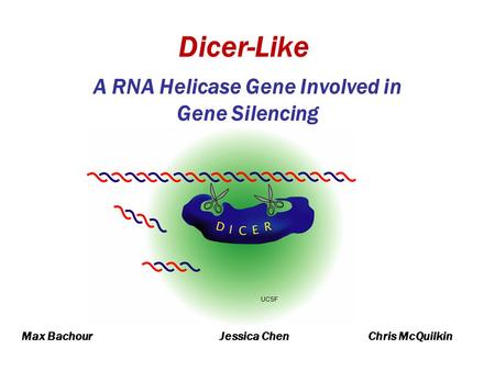 Dicer-Like A RNA Helicase Gene Involved in Gene Silencing UCSF Max BachourJessica ChenChris McQuilkin.