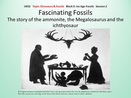 Fascinating Fossils The story of the ammonite, the Megalosaurus and the ichthyosaur © Original resource copyright Hamilton Trust, who give permission for.