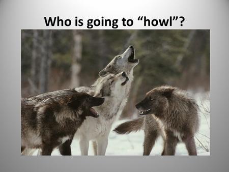 Who is going to “howl”?. 2 I believe something should be done to intervene in problematic situations. A. Strongly Agree B.Agree C.Neutral D.Disagree E.Strongly.