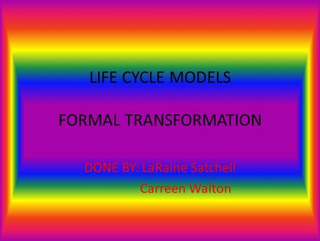 LIFE CYCLE MODELS FORMAL TRANSFORMATION