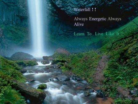 Waterfall ! ! Learn To Live Like It !! Always Energetic Always Alive.