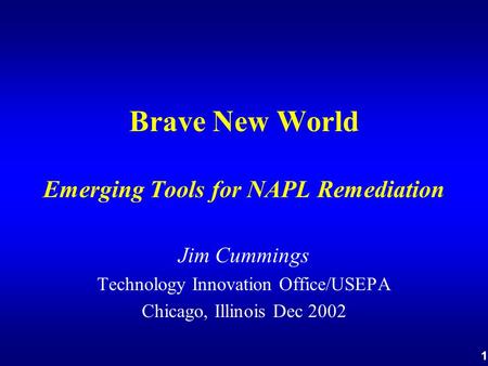 1 Brave New World Emerging Tools for NAPL Remediation Jim Cummings Technology Innovation Office/USEPA Chicago, Illinois Dec 2002.