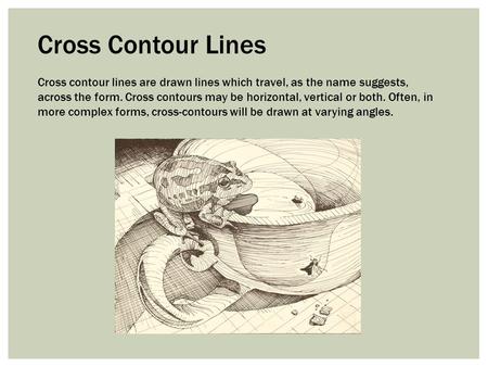 Cross contour lines are drawn lines which travel, as the name suggests, across the form. Cross contours may be horizontal, vertical or both. Often, in.