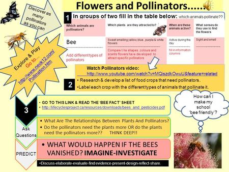 Flowers and Pollinators....... In groups of two fill in the table below: which animals pollinate?? Which animals are pollinators? Which plants are they.