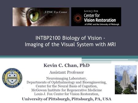 INTBP2100 Biology of Vision - Imaging of the Visual System with MRI
