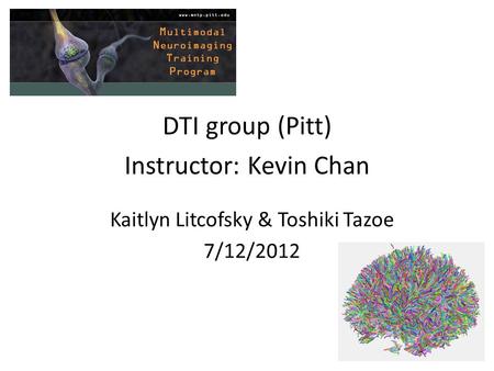 DTI group (Pitt) Instructor: Kevin Chan Kaitlyn Litcofsky & Toshiki Tazoe 7/12/2012.