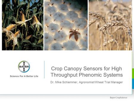 Crop Canopy Sensors for High Throughput Phenomic Systems
