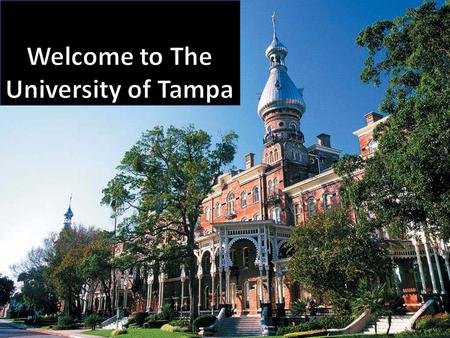 *Your folder may be another color Mentoring Philosophy Practicum I, II, III, and IV experiences are offered at The University of Tampa Students are at.