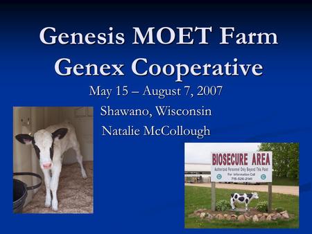 Genesis MOET Farm Genex Cooperative May 15 – August 7, 2007 Shawano, Wisconsin Natalie McCollough.