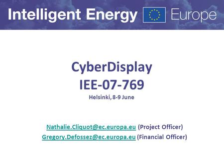 CyberDisplay IEE-07-769 Helsinki, 8-9 June (Project Officer)