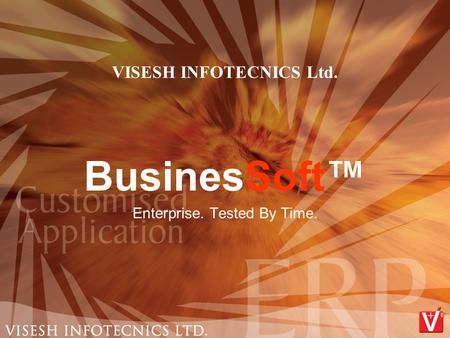 VISESH INFOTECNICS Ltd. BusinesSoft™ Enterprise. Tested By Time.