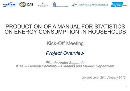1 PRODUCTION OF A MANUAL FOR STATISTICS ON ENERGY CONSUMPTION IN HOUSEHOLDS Kick-Off Meeting Luxembourg, 26th January 2012 Project Overview Pilar de Arriba.
