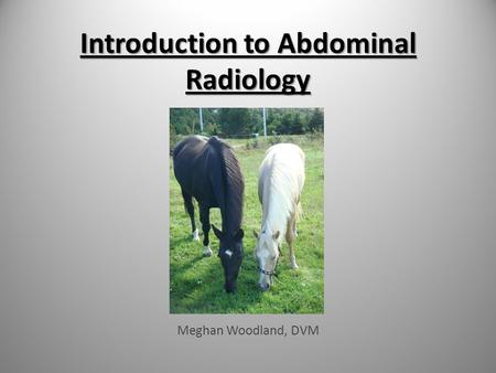 Introduction to Abdominal Radiology