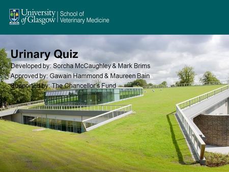 Urinary Quiz Developed by: Sorcha McCaughley & Mark Brims Approved by: Gawain Hammond & Maureen Bain Supported by: The Chancellor’s Fund.
