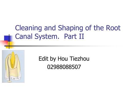 Cleaning and Shaping of the Root Canal System. Part II