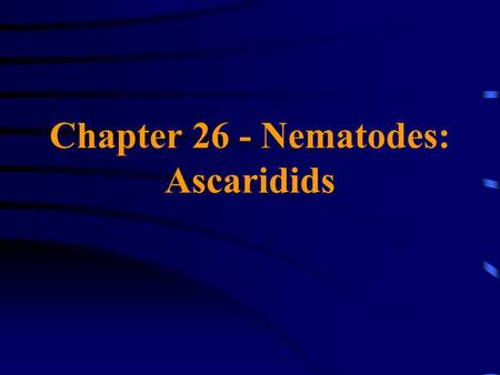 Chapter 26 - Nematodes: Ascaridids. Family Ascarididae Ascaris lumbricoides A large intestinal roundworm of humans; females may attain lengths of 30 cm!