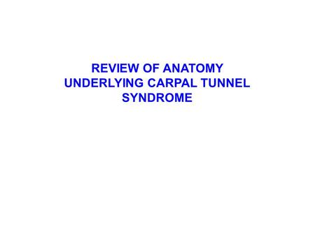 REVIEW OF ANATOMY UNDERLYING CARPAL TUNNEL SYNDROME