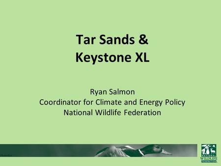 Tar Sands & Keystone XL Ryan Salmon Coordinator for Climate and Energy Policy National Wildlife Federation.