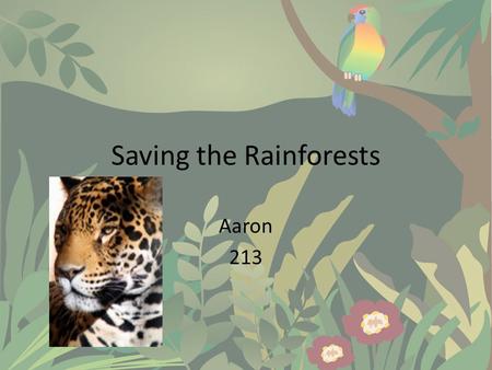 Saving the Rainforests