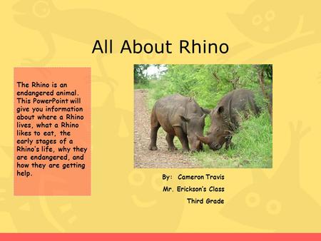 Endangered animals of Africa By Emily. Rhinoceros. - ppt download