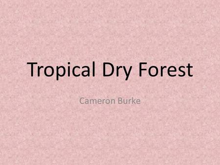 Tropical Dry Forest Cameron Burke. Tropical Dry Frests Type of forest found near the Equator that has distinct rainy and dry seasons.