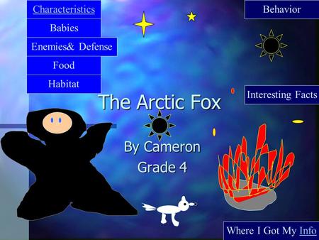 The Arctic Fox By Cameron Grade 4 Characteristics Behavior Babies