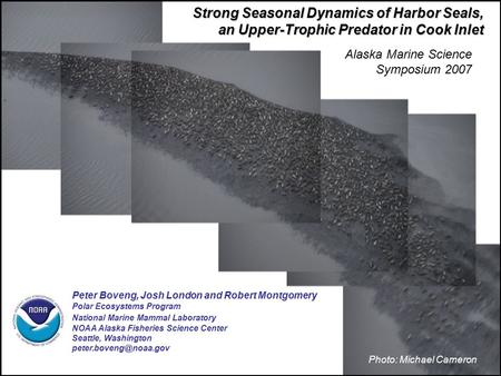 Strong Seasonal Dynamics of Harbor Seals, an Upper-Trophic Predator in Cook Inlet Peter Boveng, Josh London and Robert Montgomery Polar Ecosystems Program.