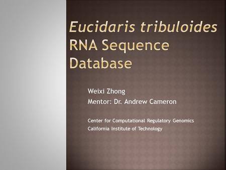 Weixi Zhong Mentor: Dr. Andrew Cameron Center for Computational Regulatory Genomics California Institute of Technology.