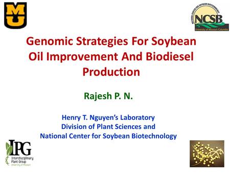 Rajesh P. N. Henry T. Nguyen’s Laboratory Division of Plant Sciences and National Center for Soybean Biotechnology Genomic Strategies For Soybean Oil Improvement.