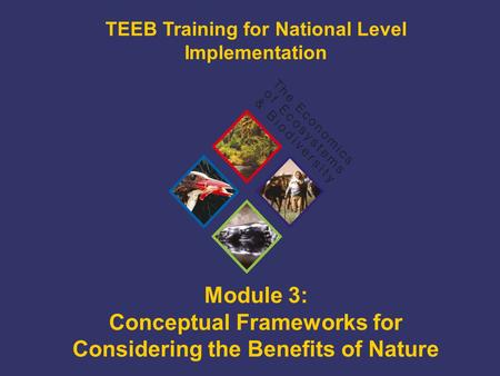 TEEB Training Module 3: Conceptual Frameworks for Considering the Benefits of Nature TEEB Training for National Level Implementation.