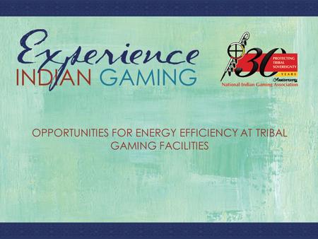 T OPPORTUNITIES FOR ENERGY EFFICIENCY AT TRIBAL GAMING FACILITIES.